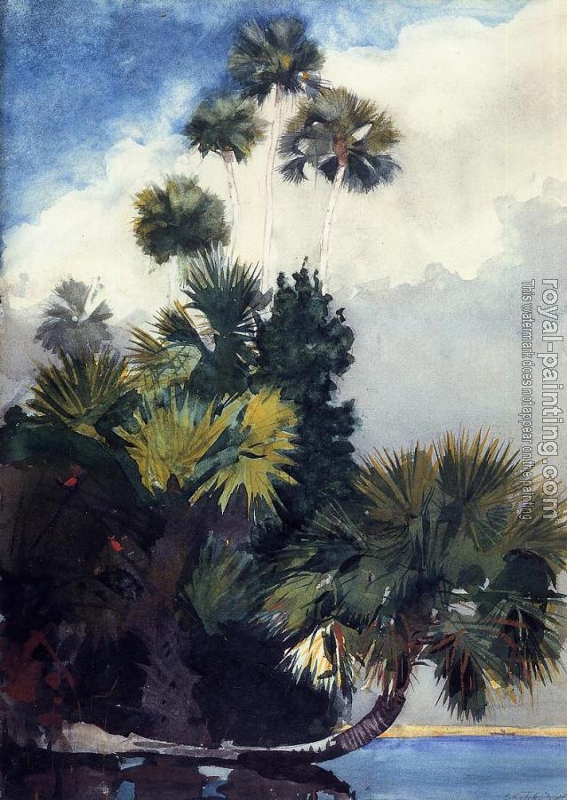 Winslow Homer : Palm Trees, Florida